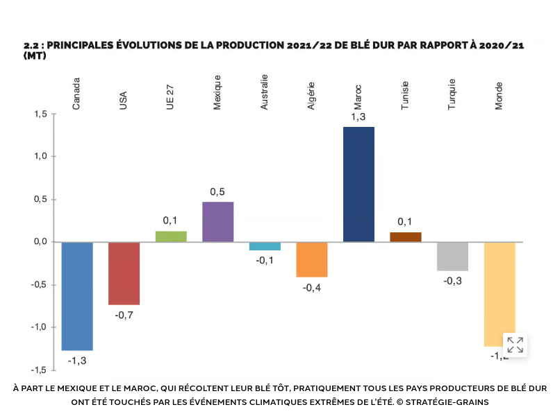 Durum wheat production