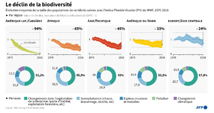 Biodiversity decline WWF