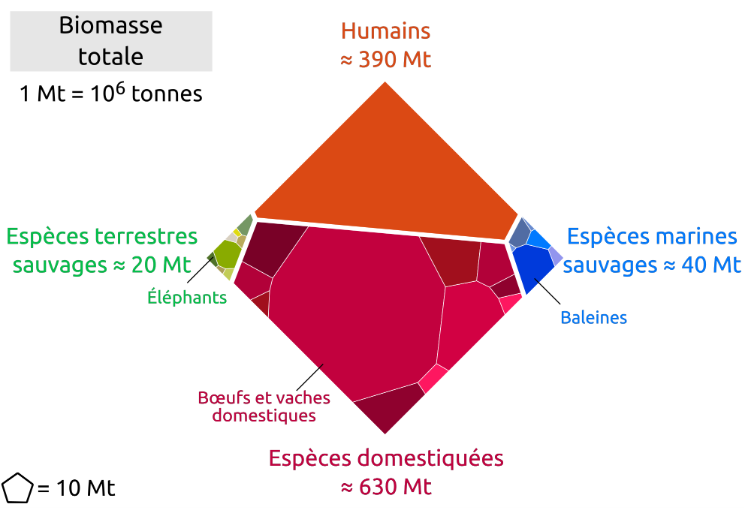 Total biomass distribution