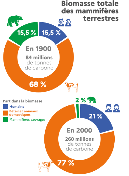 Mammal biomass 1900 vs 2000